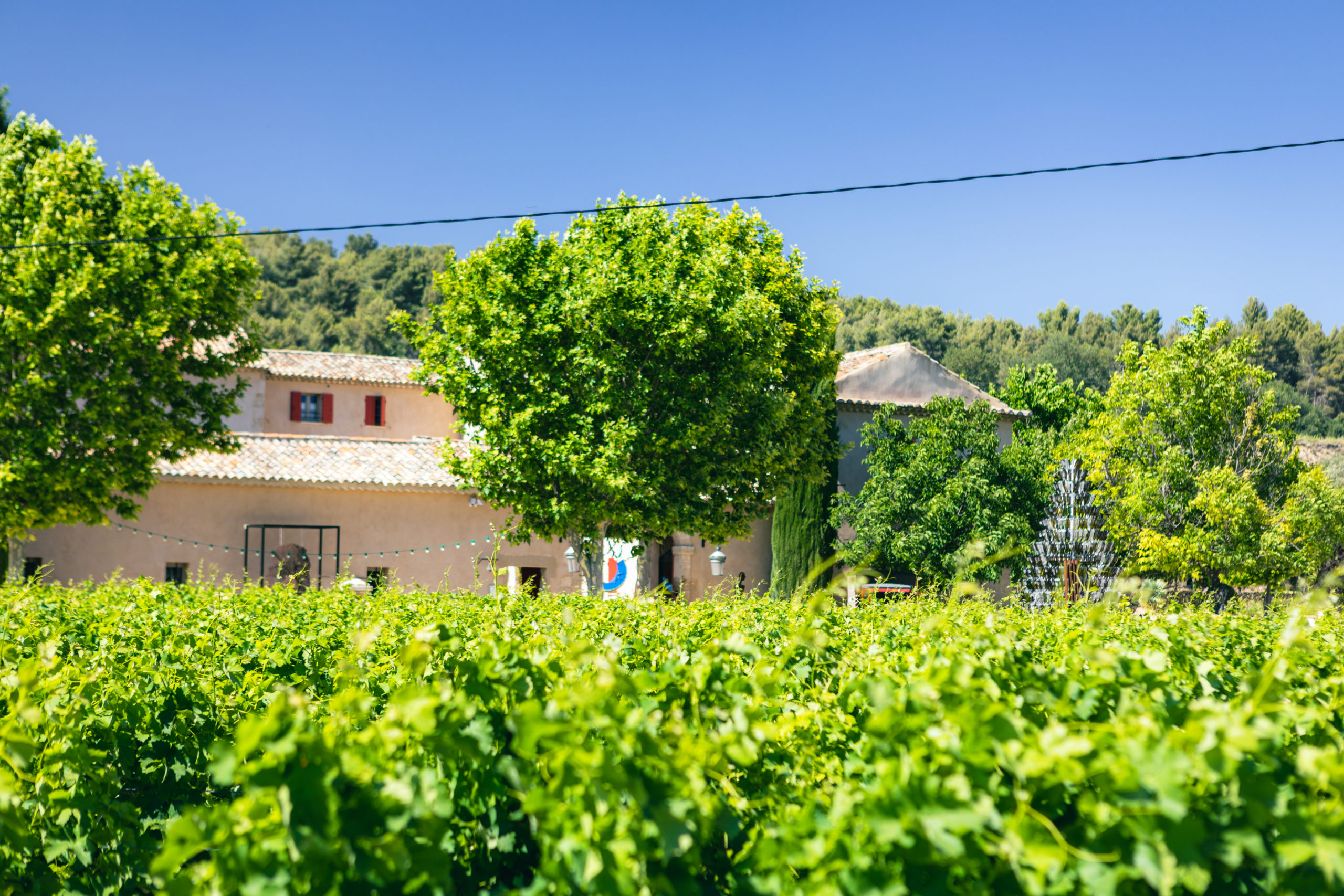 domaine vu depuis les vignes